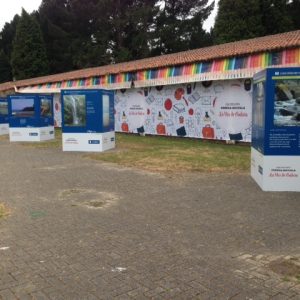 5. Exposición de los trabajos ganadores del concurso “Galicia, auga e literatura” durante la fiesta de fin curso del Programa Prensa-Escuela